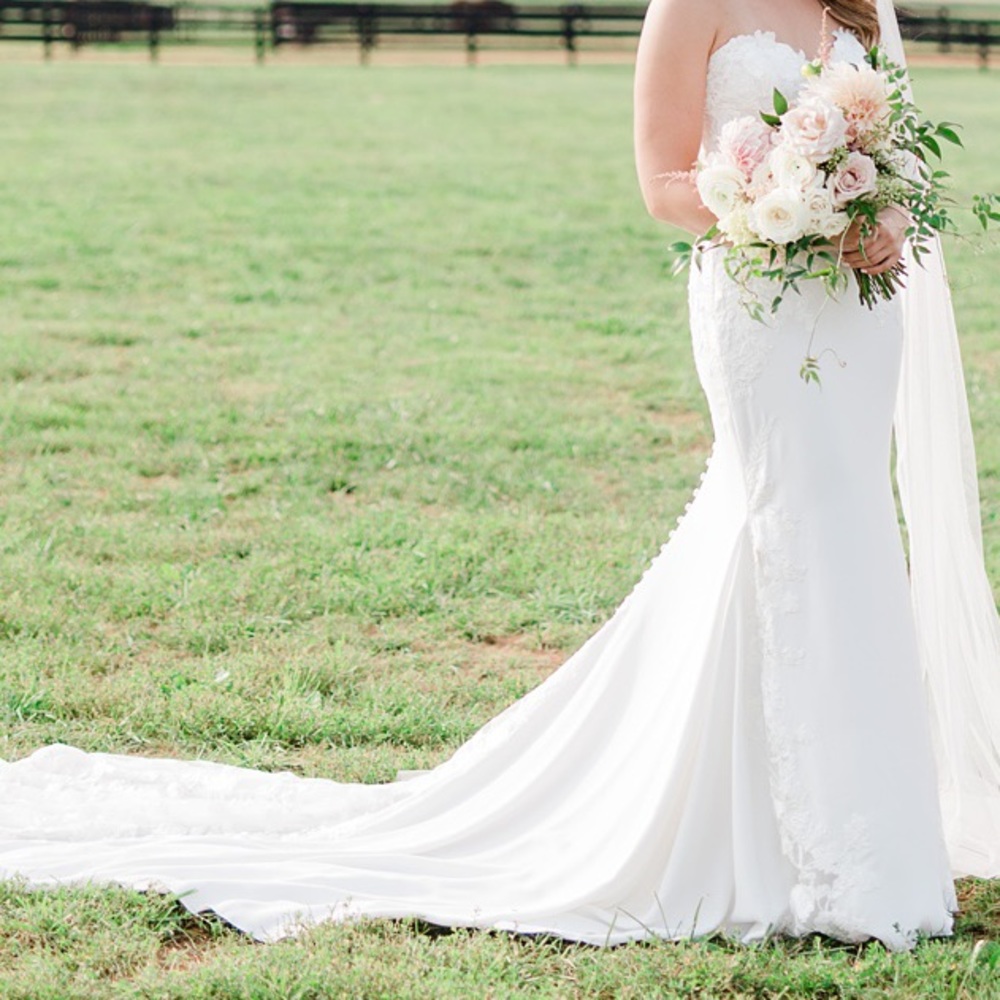Pronovias Epico Wedding Dress
